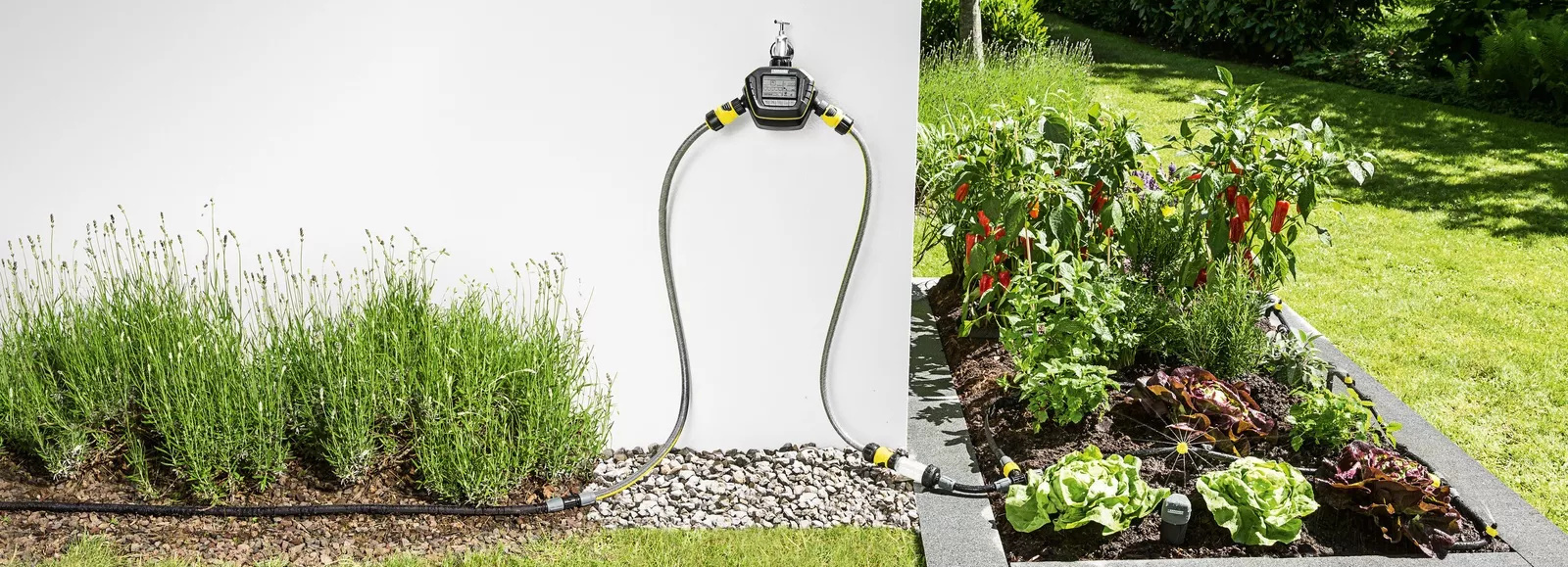 Tự động hóa thời gian tưới nước