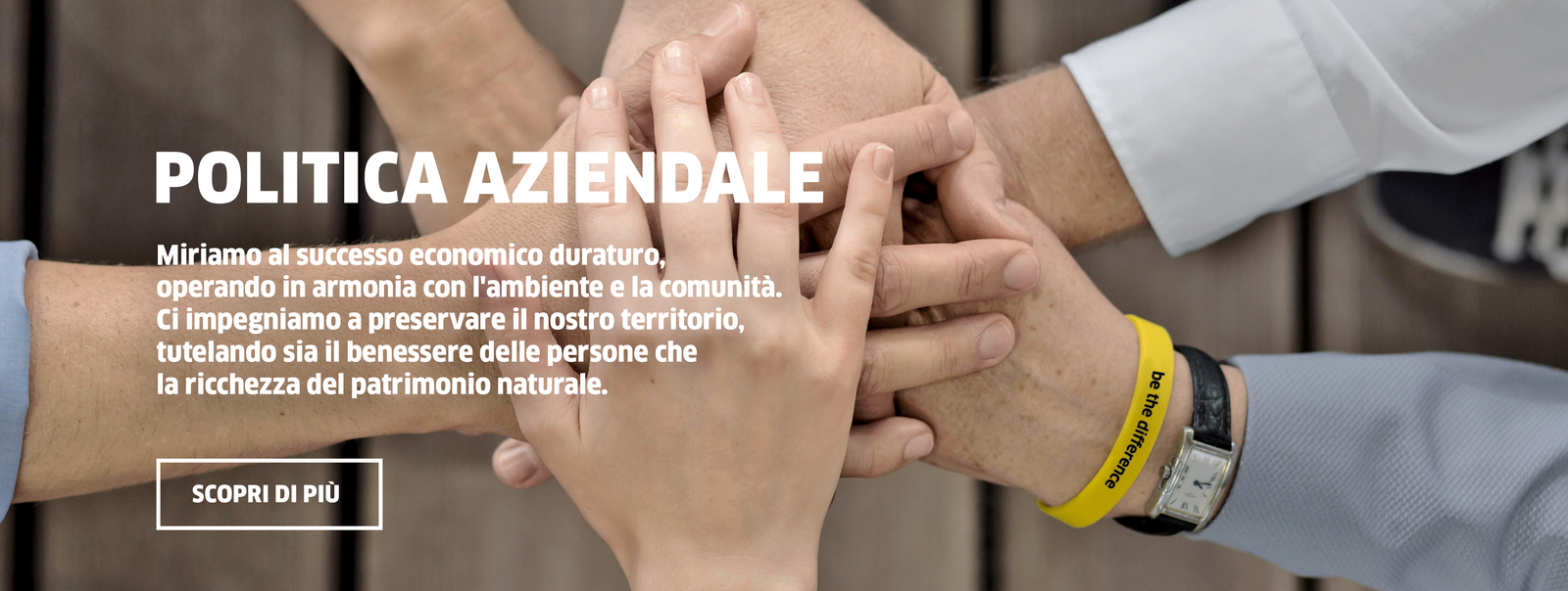 Politica aziendale