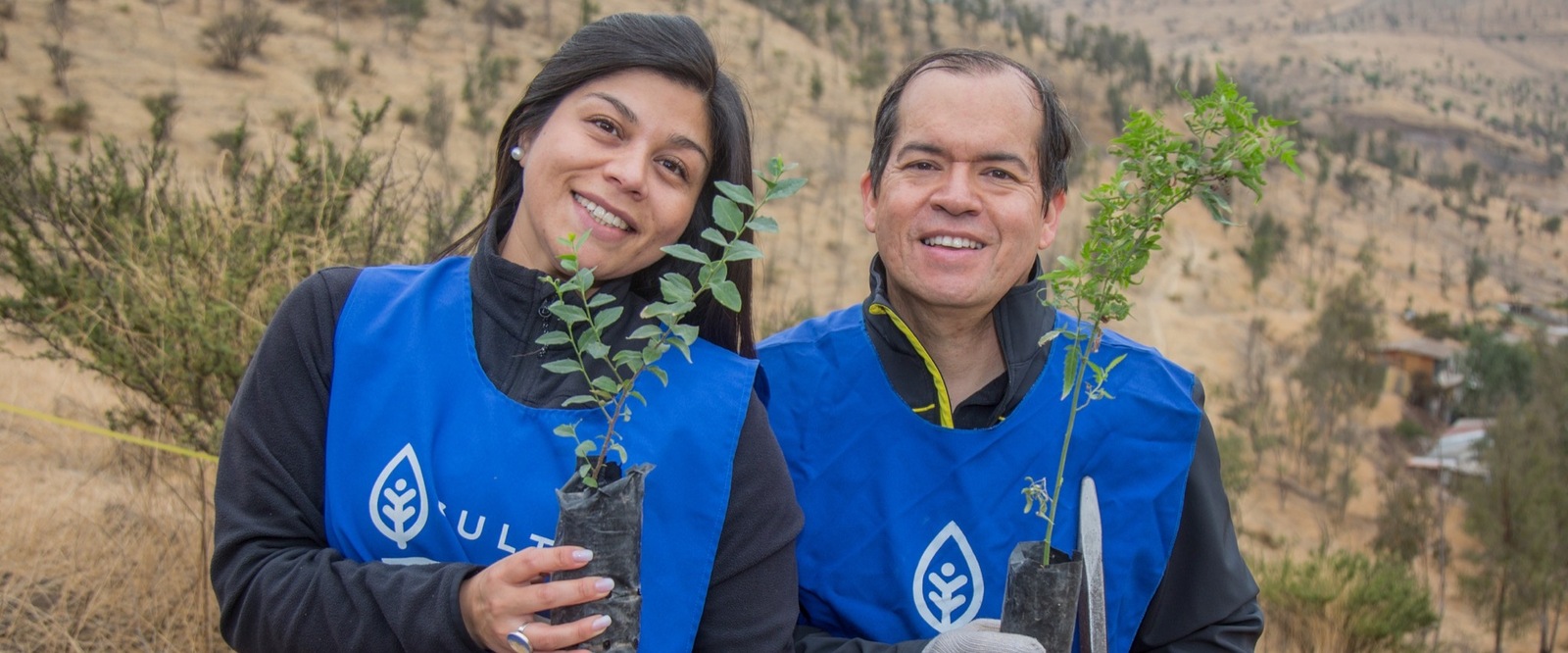 Mitarbeitende pflanzen Setzlinge Mitarbeitende pflanzen Setzlinge