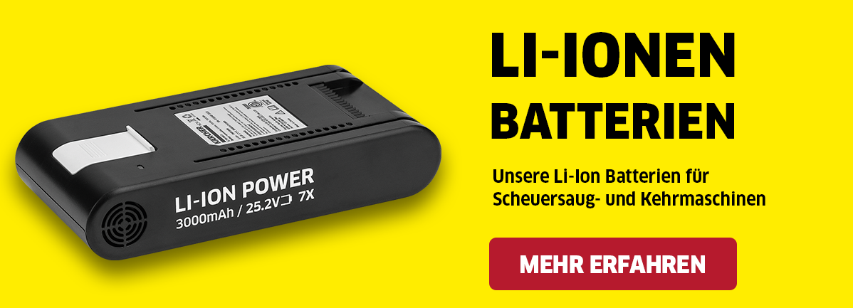 Li Ionen Li Ionen