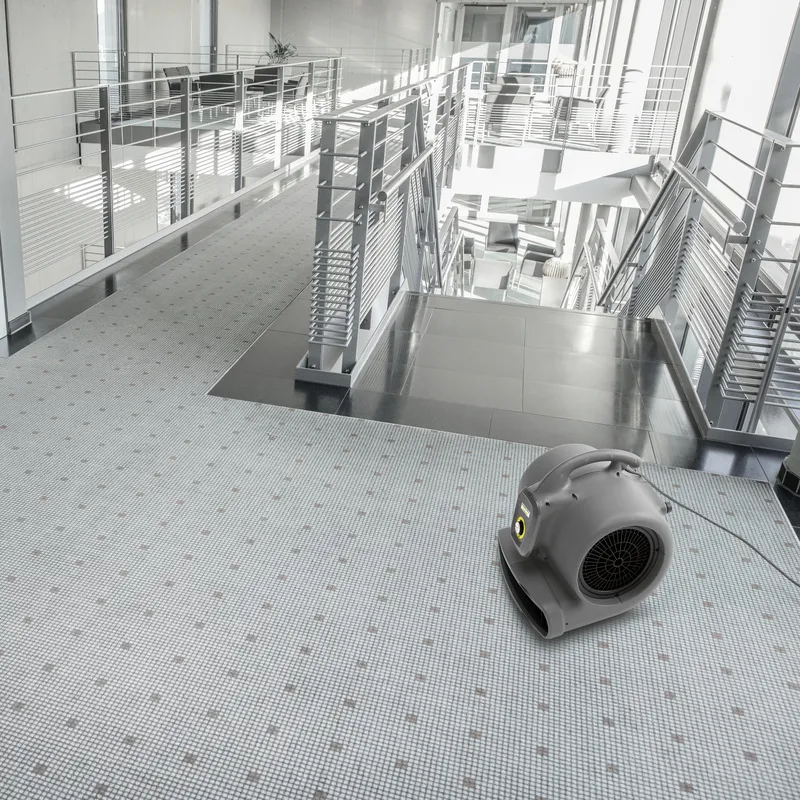 carpet drying carpet drying