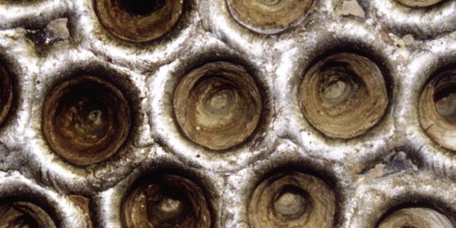 Blocked pipes of a heat exchanger Dirty pipes of a heat exchanger