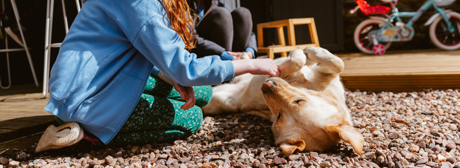 Karcher Dogs For Good Karcher Dogs For Good