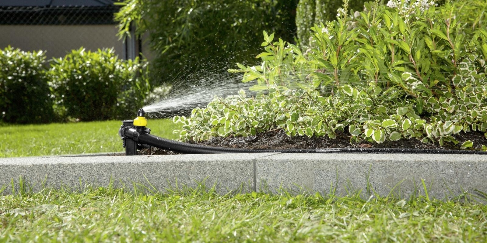 hệ thống tưới phun mưa cục bộ