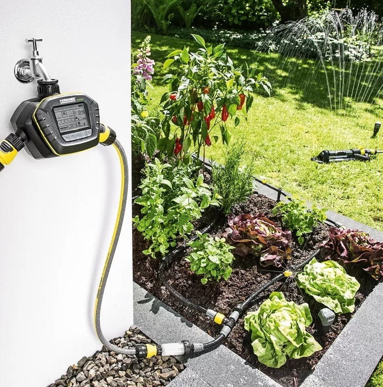 cách tưới cây khi vắng nhà