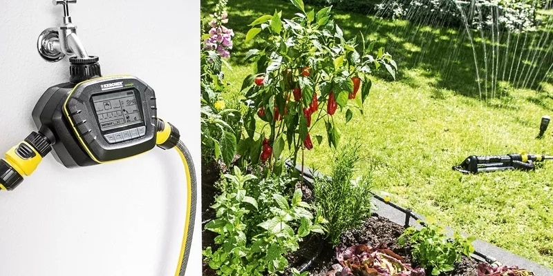 cách tưới cây khi vắng nhà