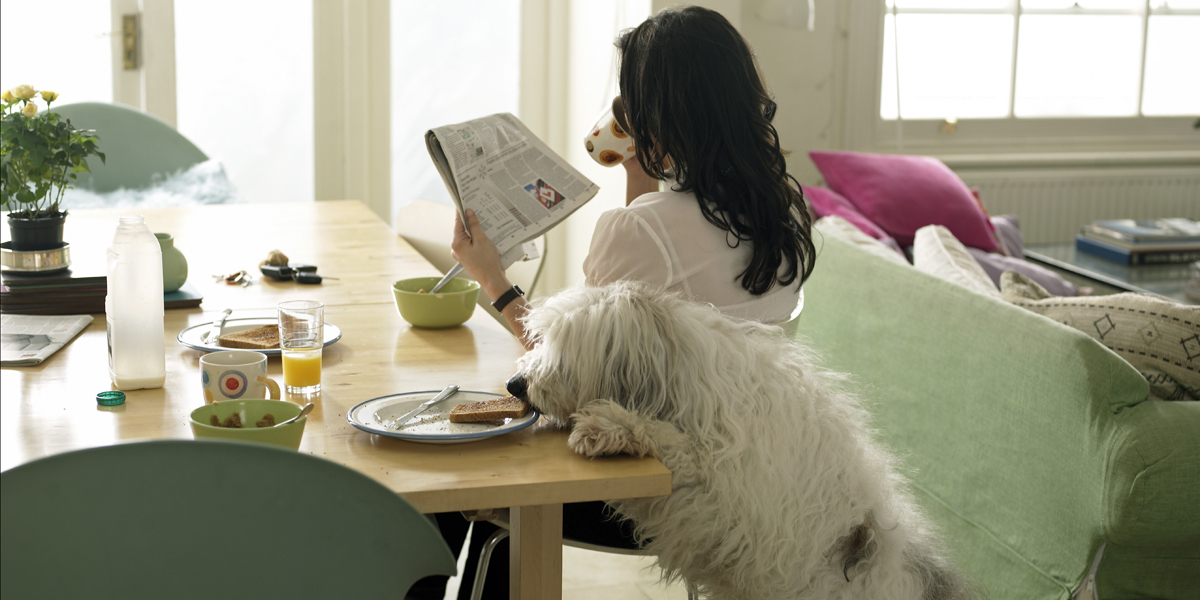 Рекомендации Kärcher по уборке для владельцев животных