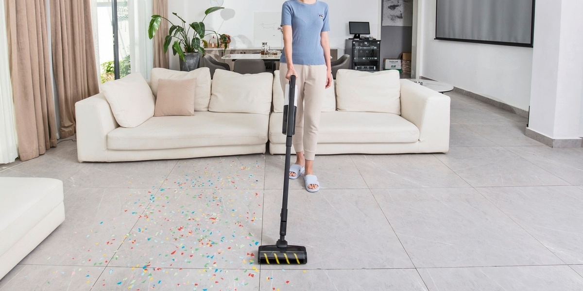 cách khử mùi hôi của chó trong nhà cách khử mùi hôi của chó trong nhà