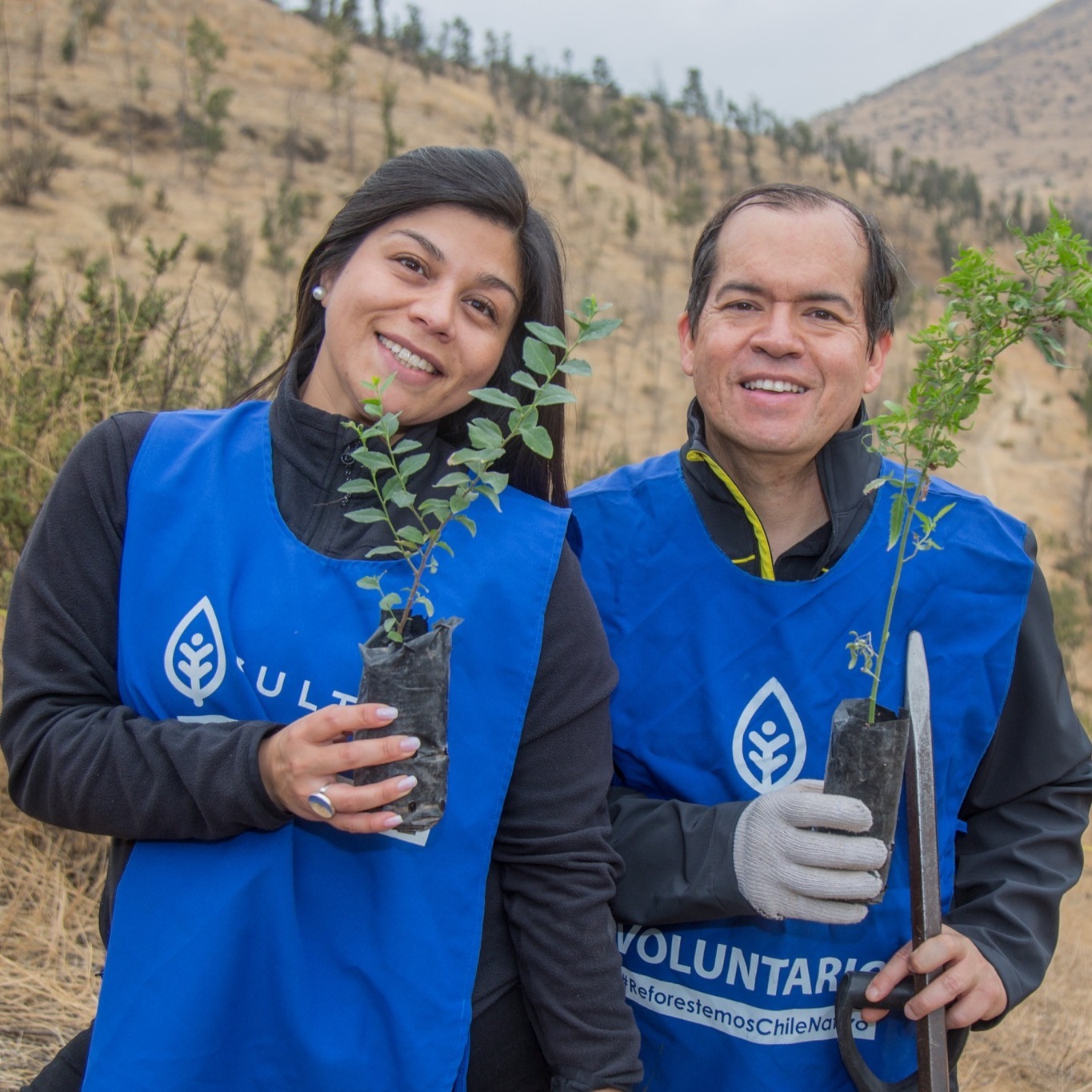 Weltweit engagiert Kärcher Mitarbeitende pflanzen Bäume in Chile.