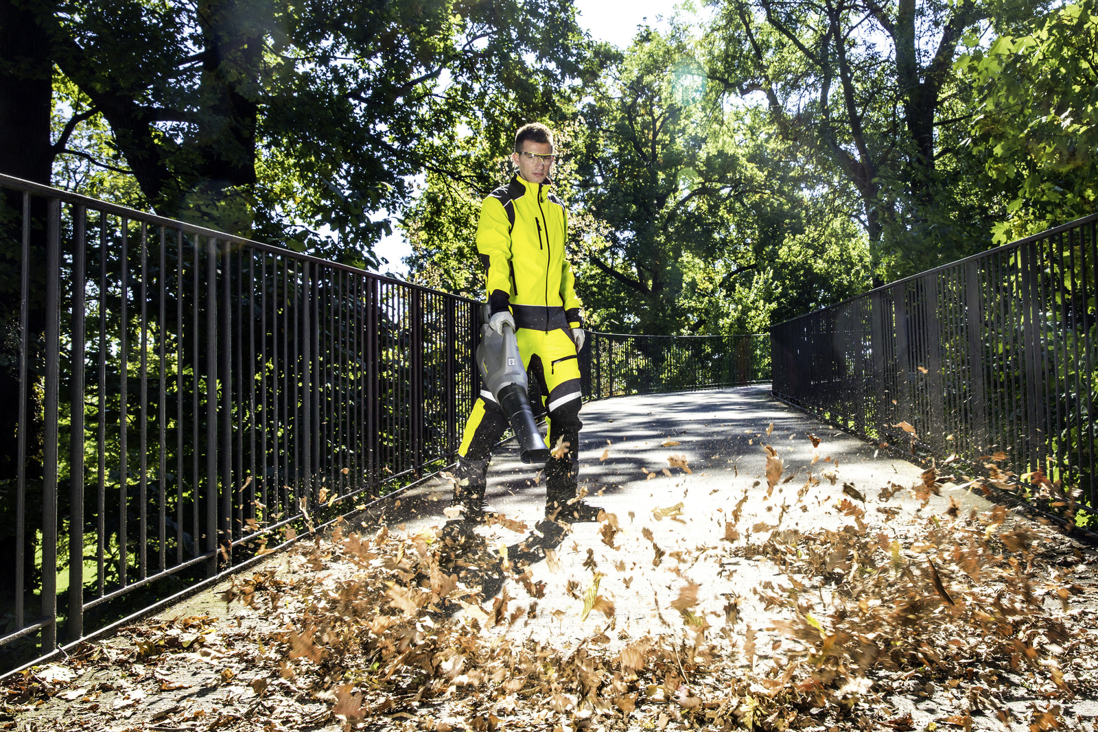 Souffleur de feuilles LB