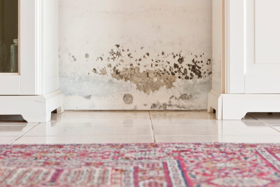 cách làm sạch tường sơn bị bẩn