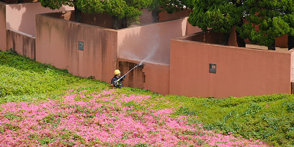 ケルヒャー社員による本格洗浄で美観を再生