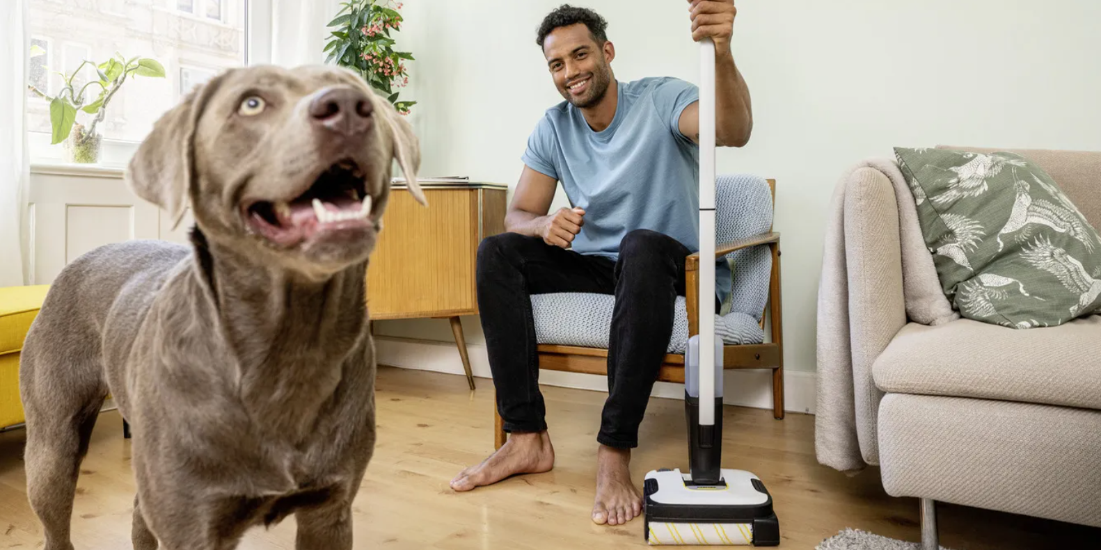 cleaning pet hairs| Karcher