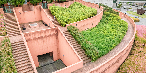 清掃前のベリーニの丘の様子