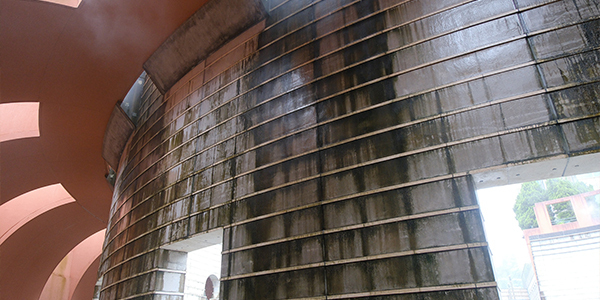 清掃前のベリーニの丘の様子