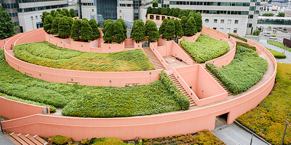 清掃後のベリーニの丘の様子