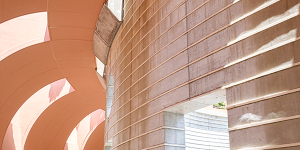 清掃後のベリーニの丘の様子