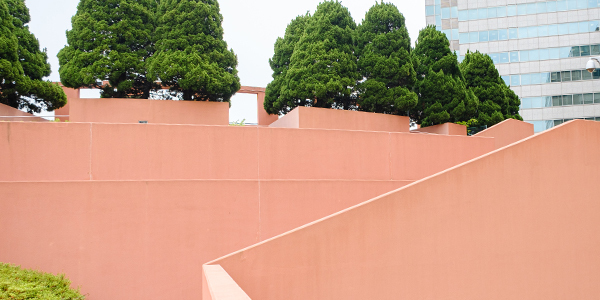 清掃後のベリーニの丘の様子