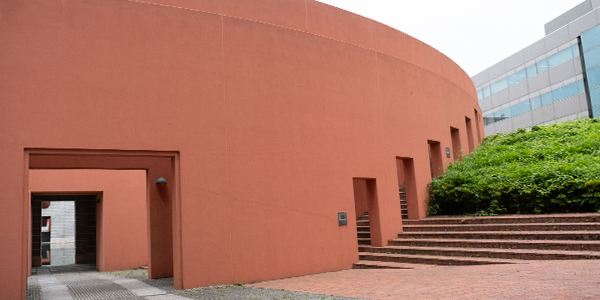 清掃後のベリーニの丘の様子