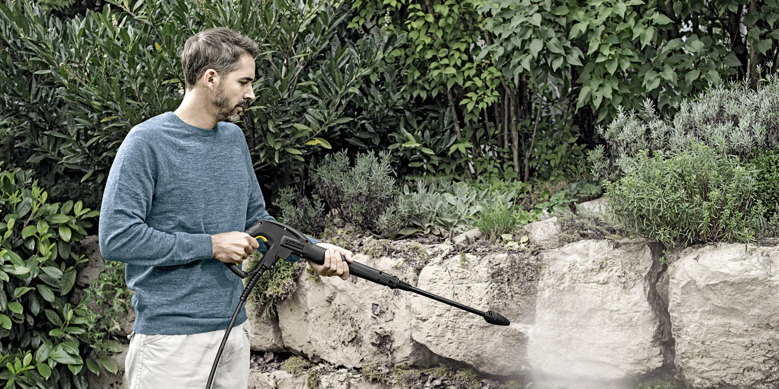 Удаление мха