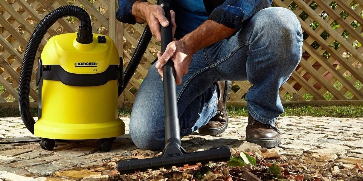 cách đuổi chuột