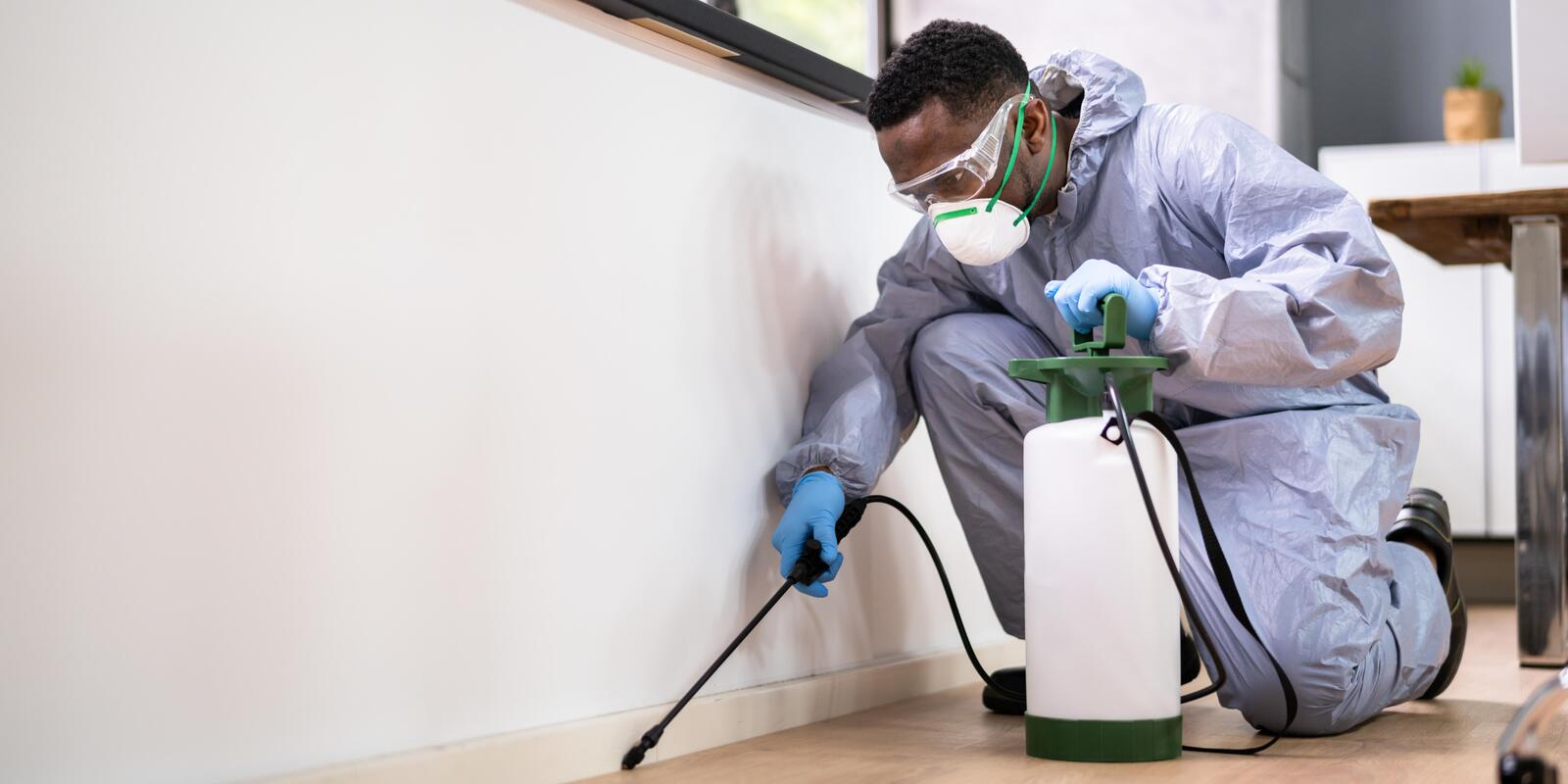 diệt mối tận gốc