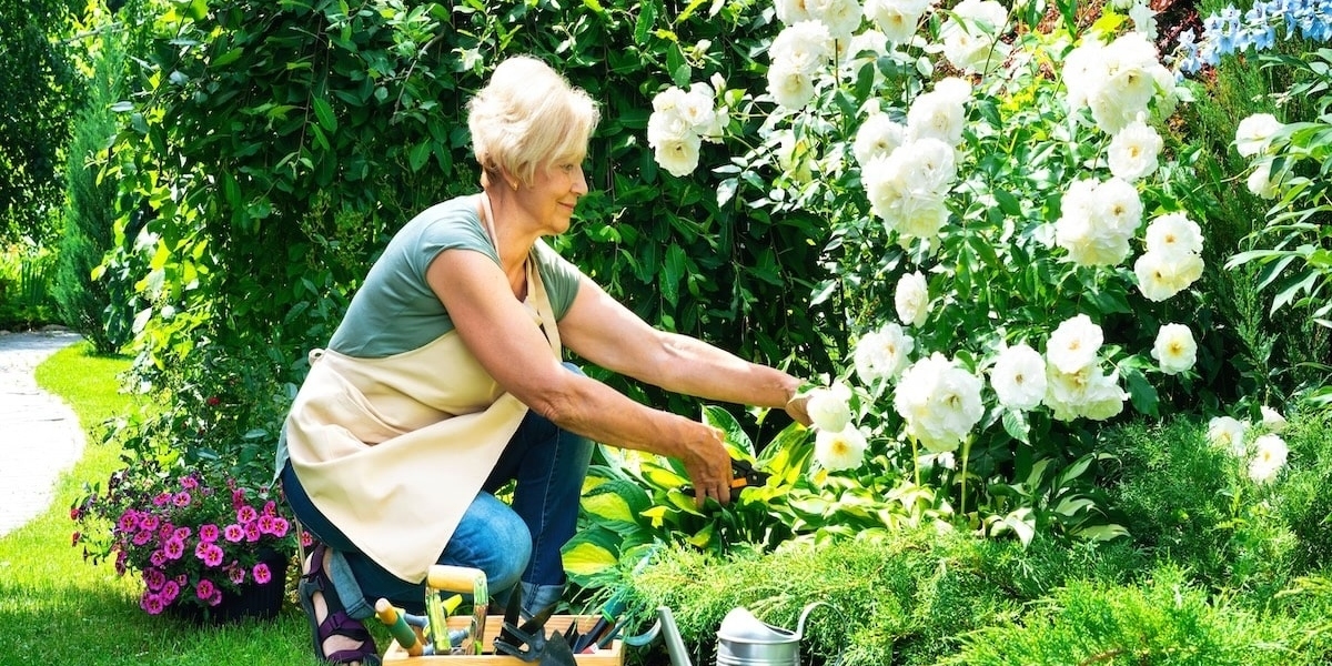 chăm sóc cây cảnh sân vườn