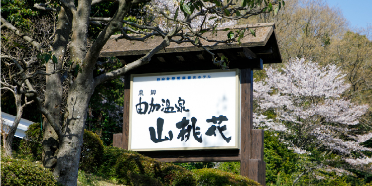 木々の音や鳥のさえずりを楽しめる静かな宿