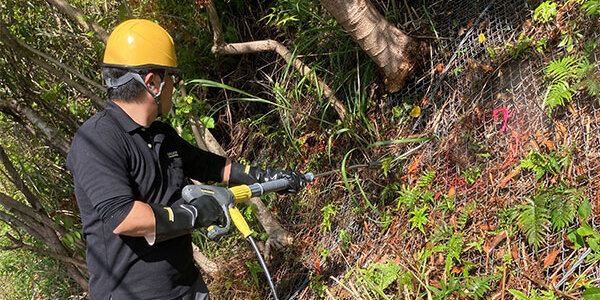 奄美大島にてツルヒヨドリの駆除試験