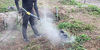 ツルヒヨドリの駆除試験