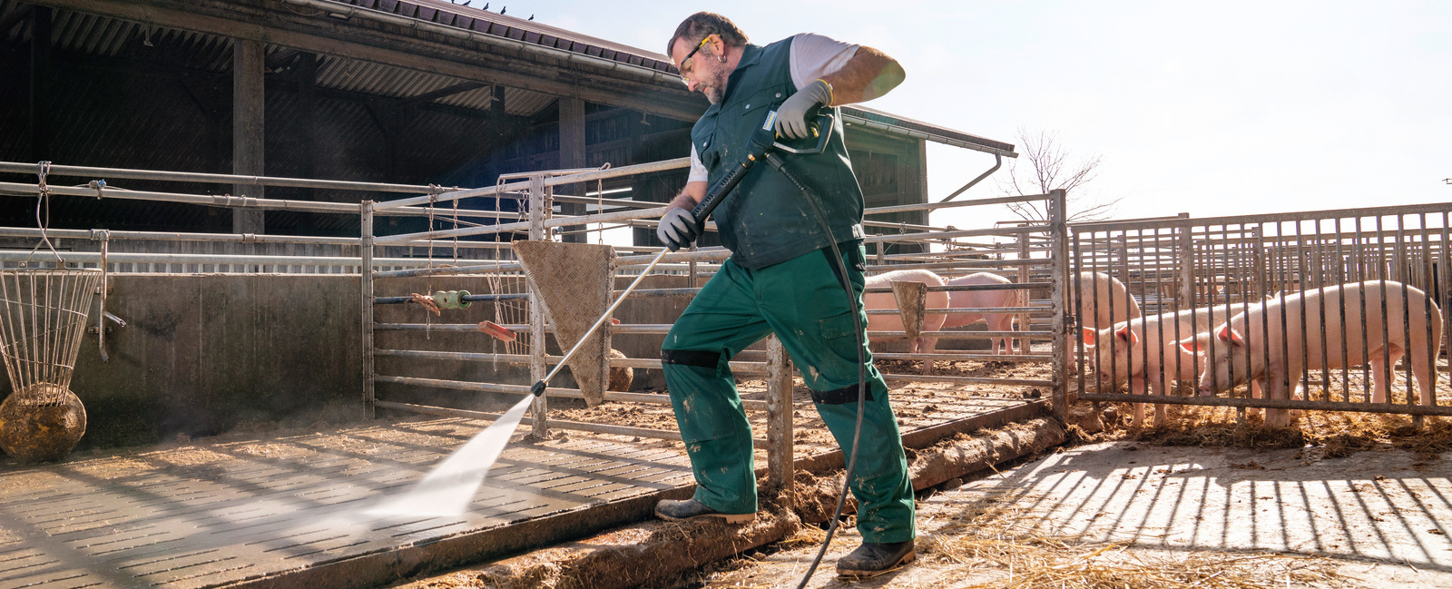 Inwestycje zapobiegające rozprzestrzenianiu się ASF 