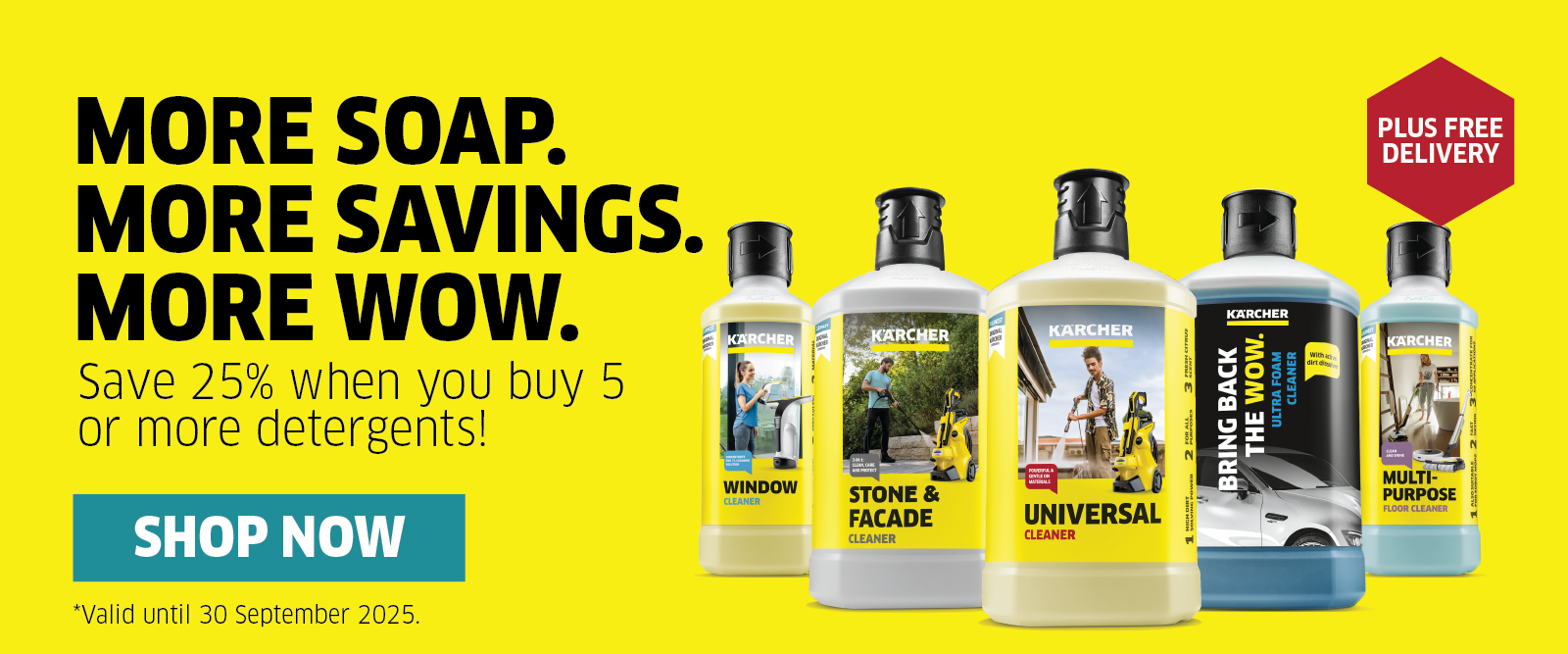 Detergent Savings Detergent Savings