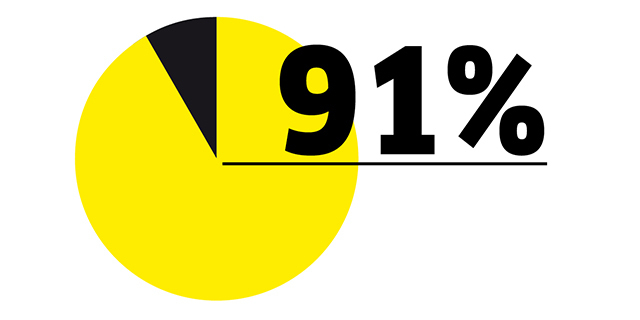 91 % Diagram with 91 %