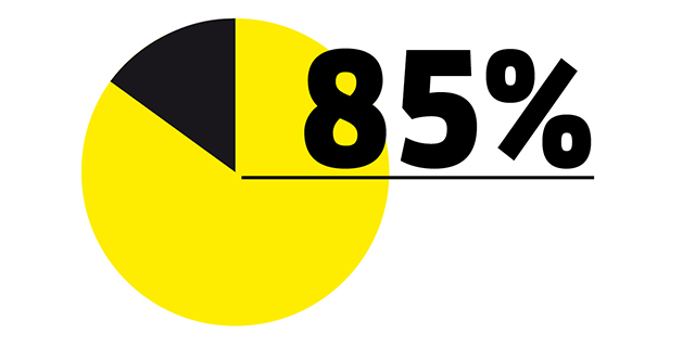 85 % Diagram with 85 %
