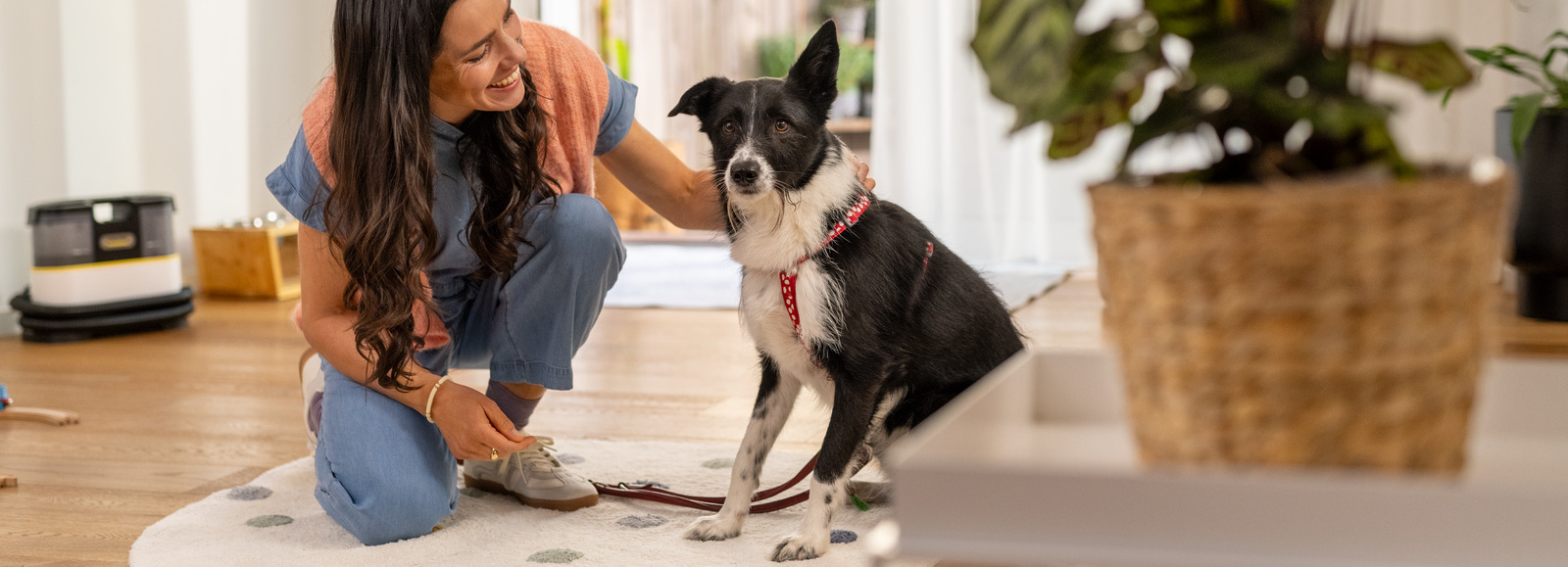Animal hair in the bedroom