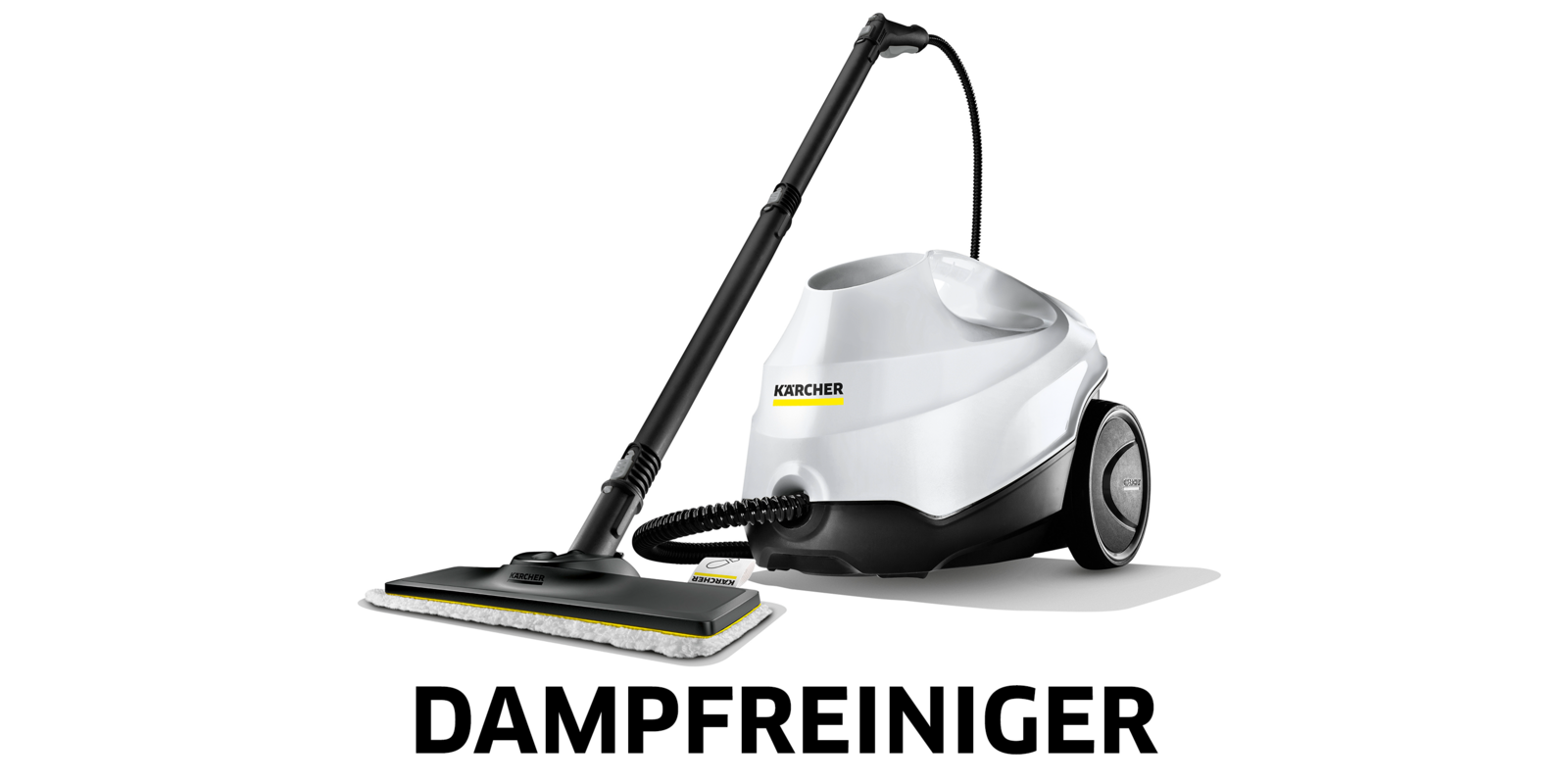 Dampfreiniger