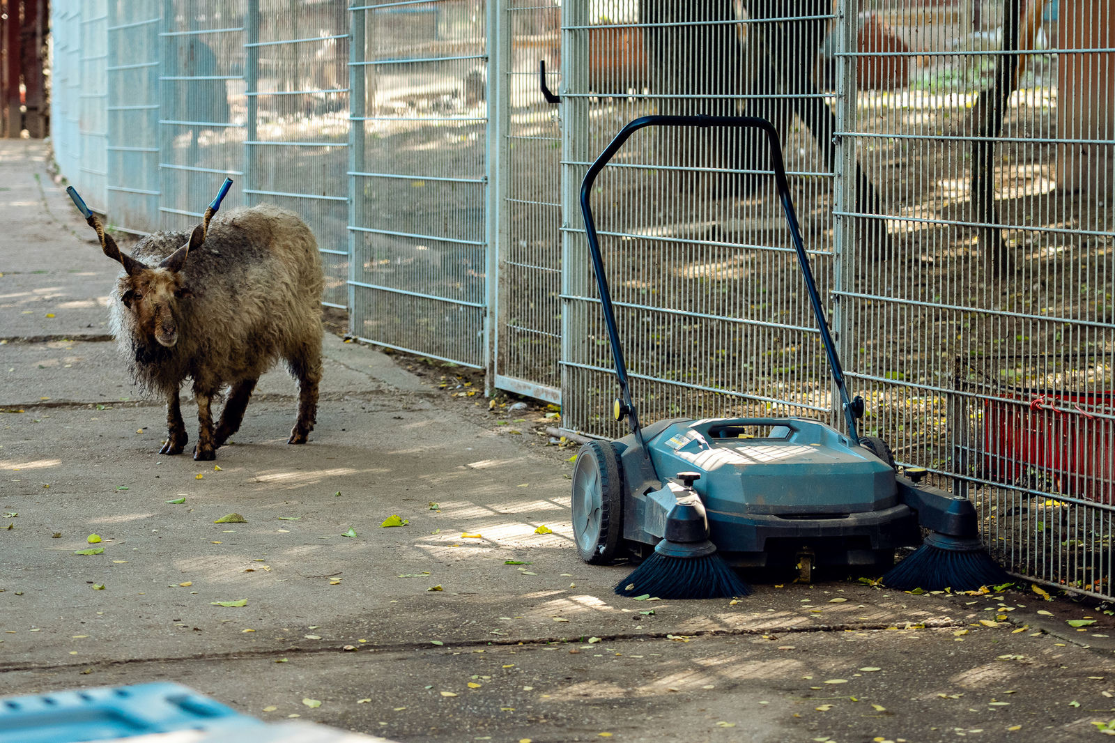 Kärcher cleans the dam to create Godzilla / TM & © TOHO CO., LTD. Picture provided by Kärcher