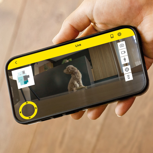 Person steuert Saugroboter per mobiler App