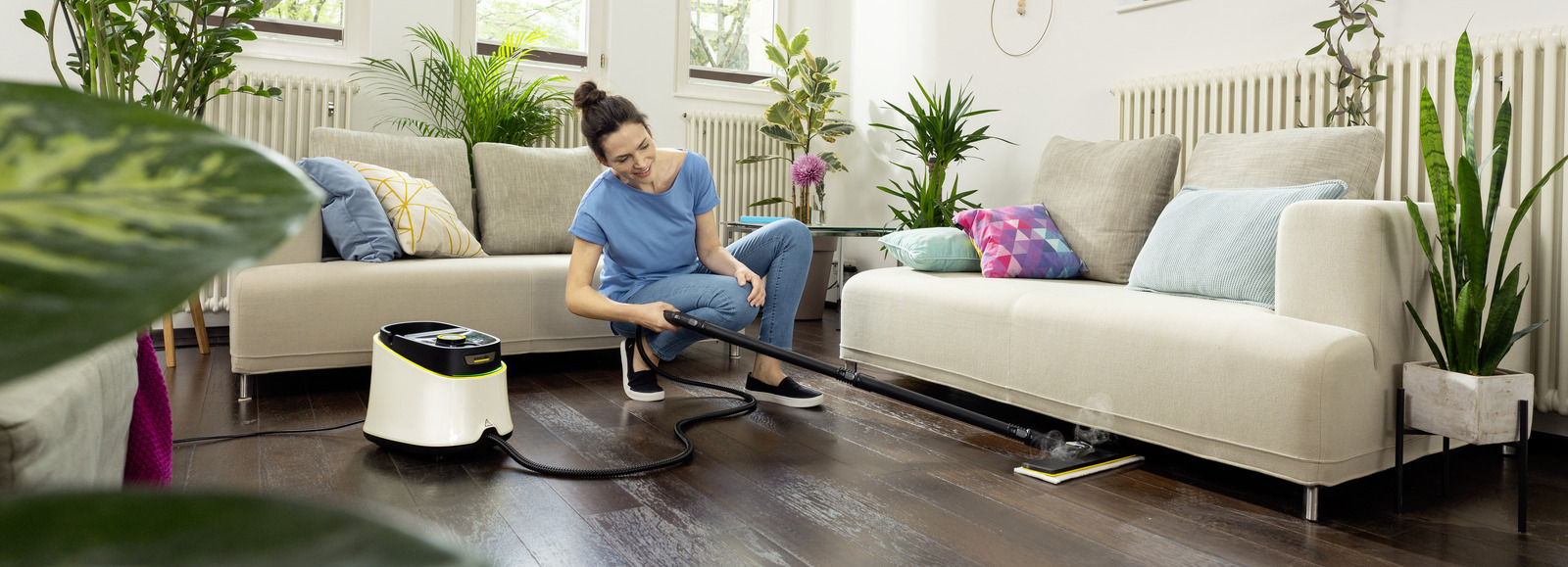 jak pozbyć się pluskiew zdjęcie tytułowe