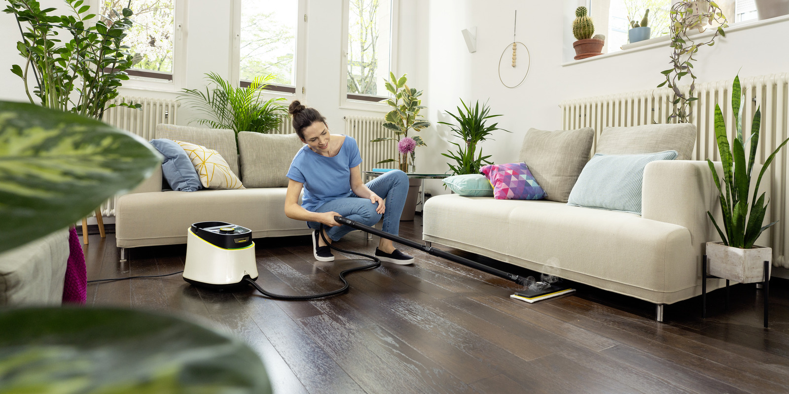 jak pozbyć się pluskiew zdjęcie tytułowe