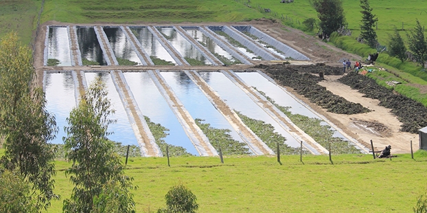 Waste water cleaning with Global Nature Fund