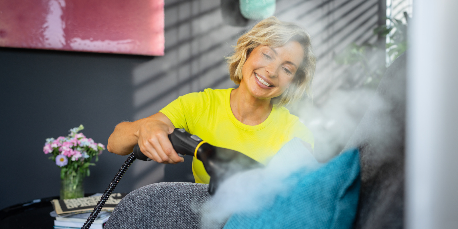 Kärcher parni čistači