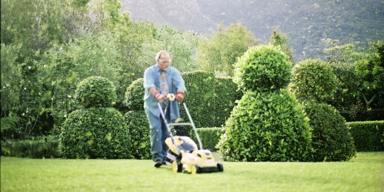 KINGDOM - Lawn Mower