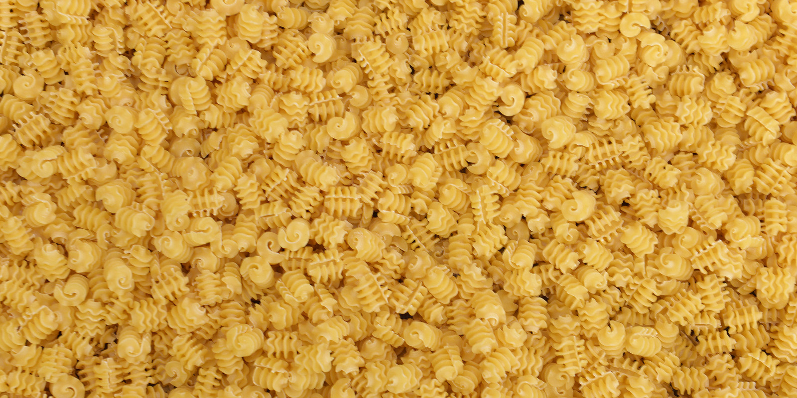 A close-up view of dry noodles