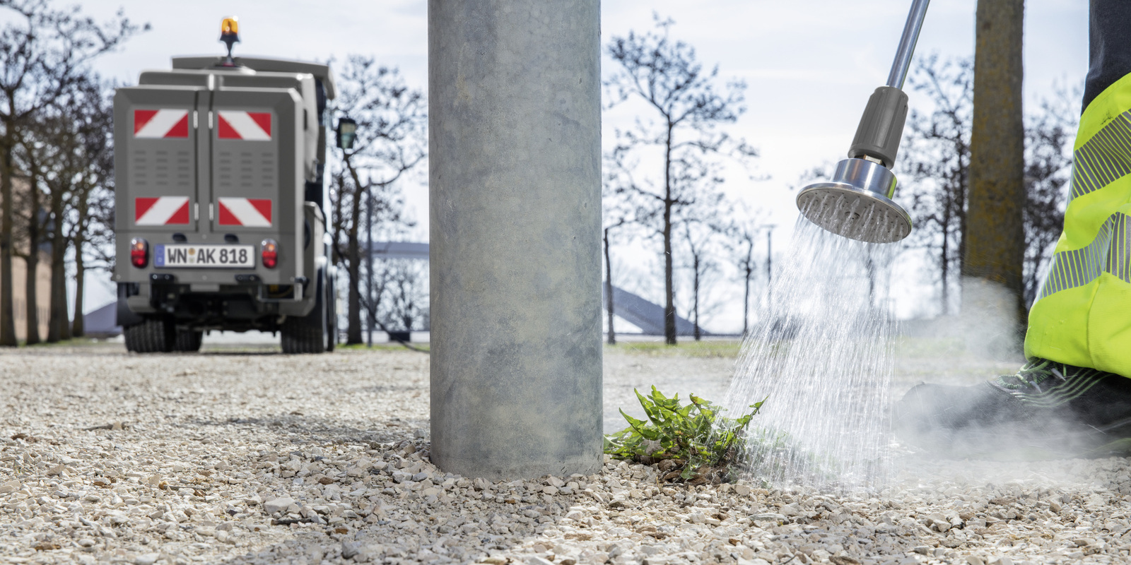 Élimination des mauvaises herbes