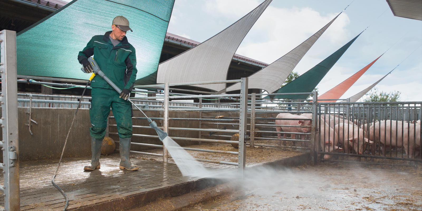 Trabalhador realizando limpeza de biofilme na produção de suínos