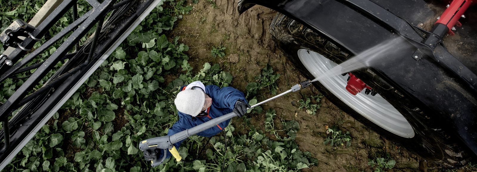 Setor de Agricultura e Agronegócio