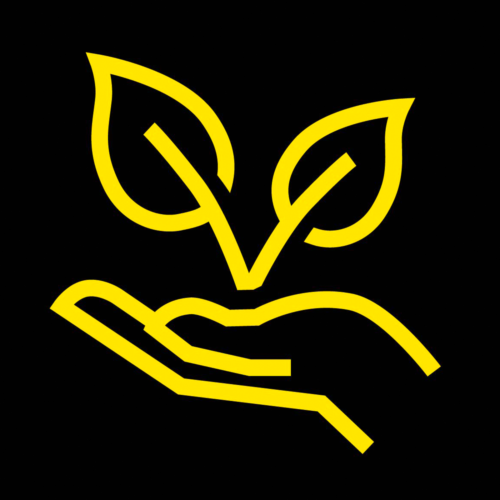 Bau von Pflanzenkläranlagen