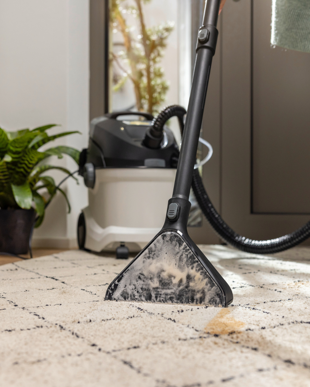 Καθαρισμός χαλιών