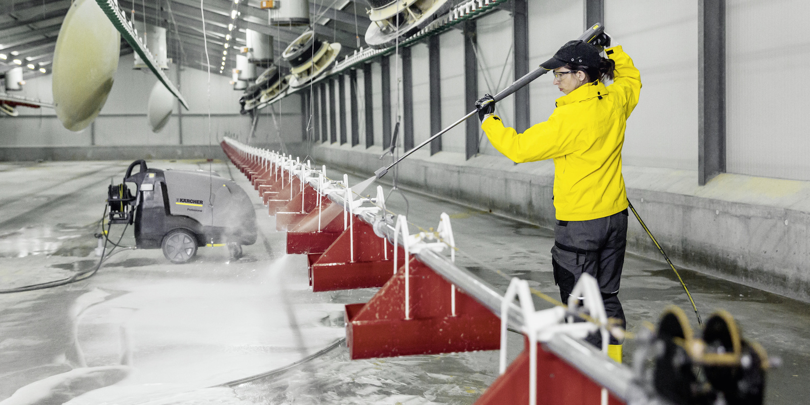 Geflügelstall reinigen - Header